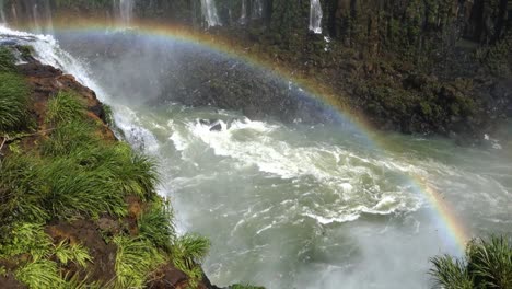 Flock-of-swallows-fly-over-the-rapids-on-river-canyon