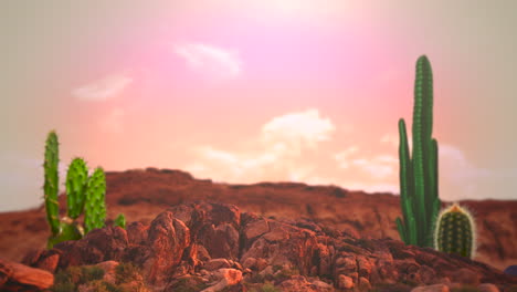 Desert-landscape-with-mountain-and-cacti-in-sunset