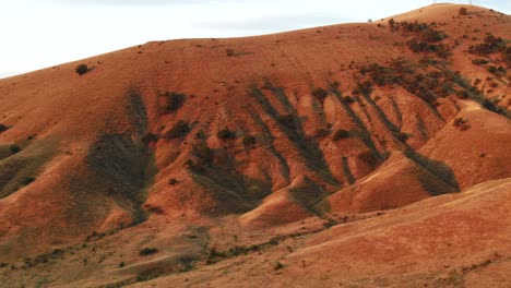 reddish hills at sunrise/sunset