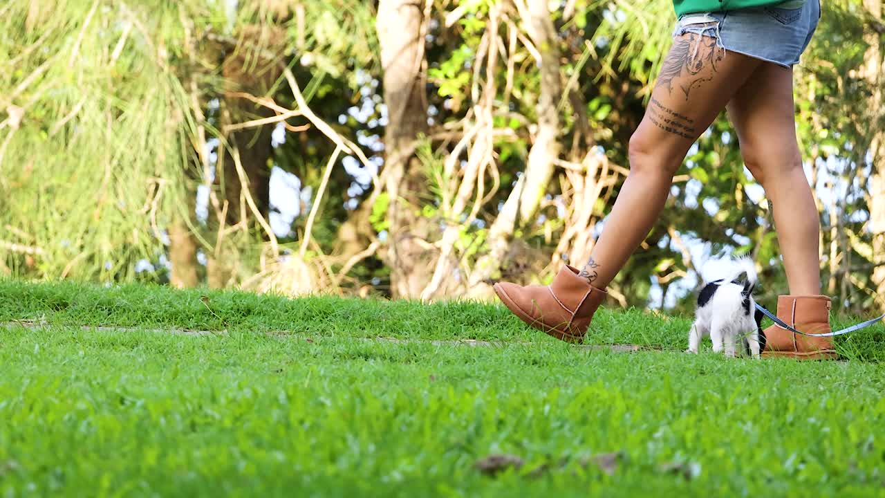 A couple walks a small dog on lush grass in a sunlit park, capturing a serene outdoor moment