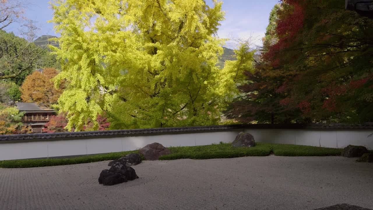 Cinematic pan over beautiful zen landscape garden with yellow ginko trees
