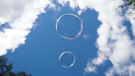 bubbles in the sky