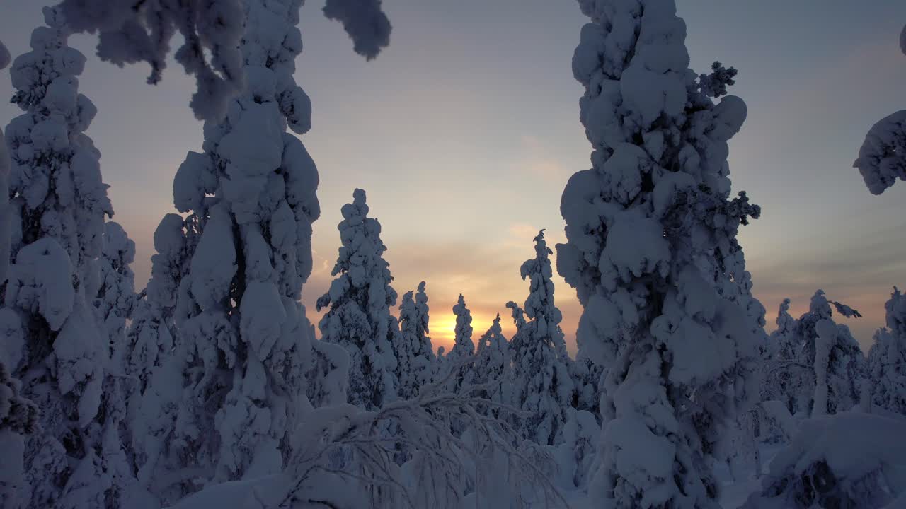 Drone lentää pienen aukon läpi lumipeitteisten puiden välissä kohti auringonlaskua Lapissa, Suomessa, napapiirillä.