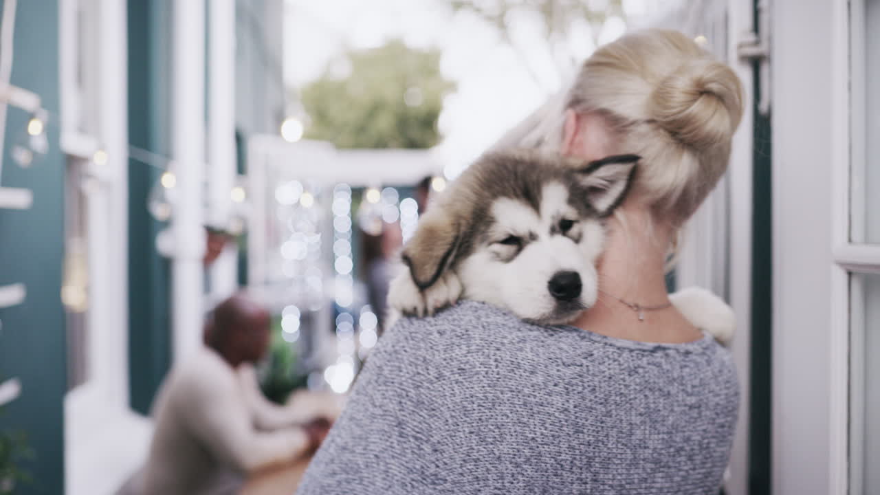 도시, 사랑과 팔에 개를 들고 즐기는 여자