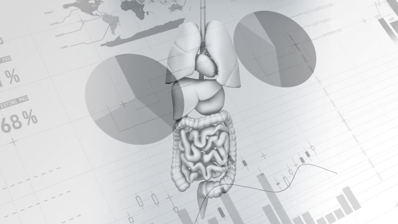 animación del procesamiento de datos sobre el modelo corporal de los órganos humanos