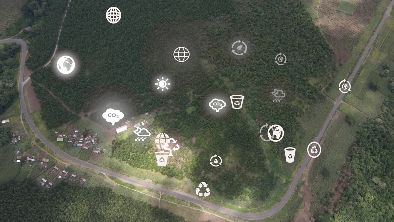 Futuristic aerial drone view of the forest coverage