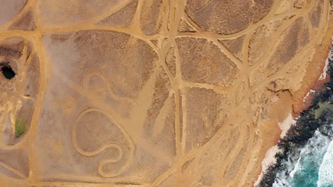 a vertical aerial view of looping tire tracks on an arid coastal plain beside rocky shoreline and foaming waves