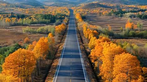 a long road in the middle of a forest filled with trees