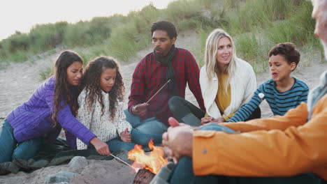 multi-generation family toasting marshmallows around fire on winter beach vacation