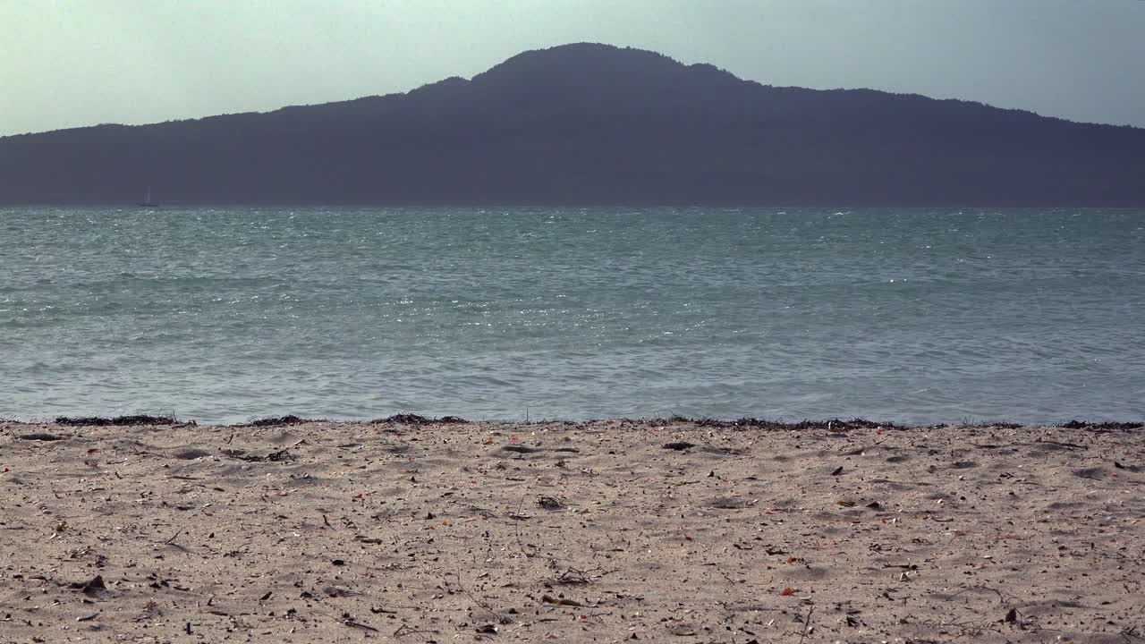 A tranquil beach scene with gentle waves lapping the shore, a distant island silhouetted against the sky, and a sandy foreground scattered with small debris