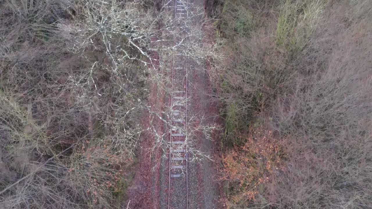 가을에 잎이 없는 숲 나무로 둘러싸인 야외에서 오래된 철로의 공중 하향식 샷