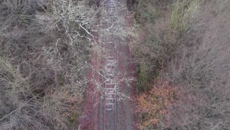 aerial top down shot of old rail track outdoors surrounded by leafless forest trees in autumn