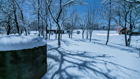 nieve brillante en el suelo bajo la luz de la luna por la noche en invierno