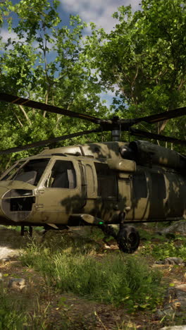 military helicopter in a forest