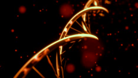 dna spinning rna double helix slow tracking shot closeup depth of field 4k