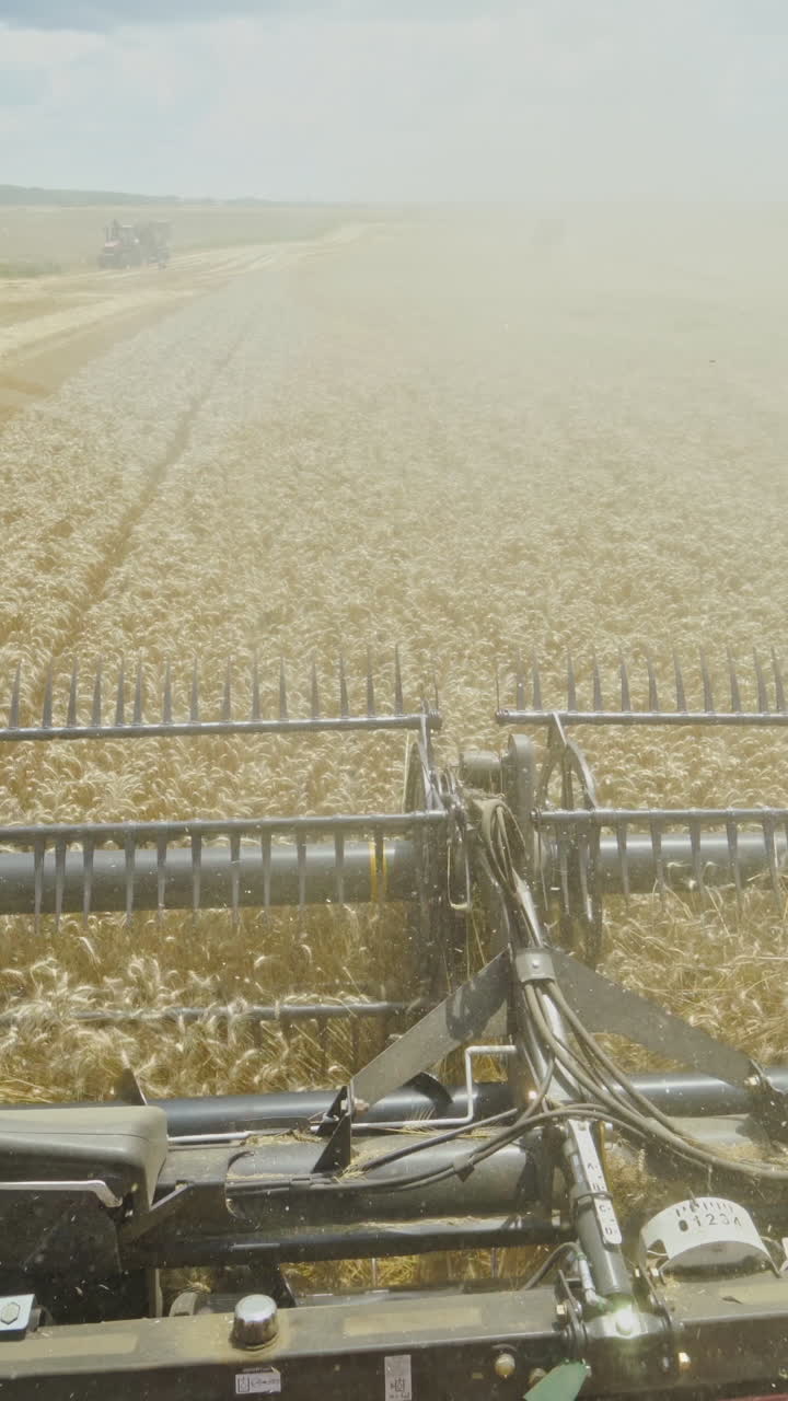 Wheat Harvesting in a Field