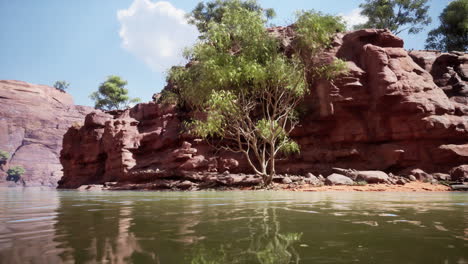 escena del río del cañón de la roca roja