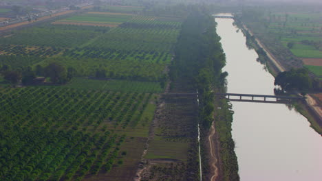 Perspective-aerial-view-of-a-canal-passing-from-the-green-trees-and-farms,-A-bridge-on-the-canal,-Aerial-against-the-sun-light