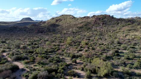 antena de cactus y suelo del desierto por encima de phoenix, arizona