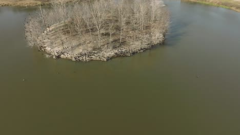 Eine-Luftaufnahme-Verschiedener-Wasservögel,-Wie-Zum-Beispiel-Der-Weiße-Ibis,-Der-Anhinga-Und-Der-Kuhreiher,-Die-Auf-Der-Habitat-Insel-Im-Exploration-Green,-Clear-Lake,-Houston,-Texas,-Rasten-Und-Sich-Versammeln