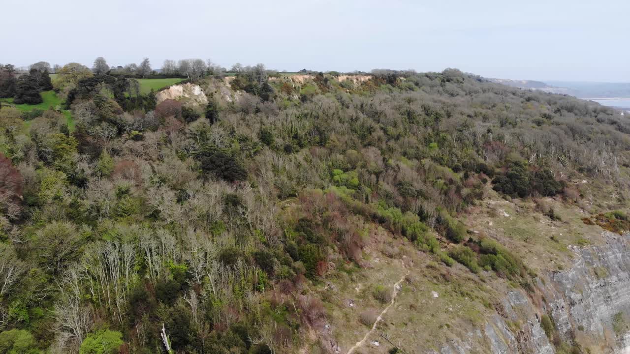 Dense greenery spreads across the Seaton undercliffs, showcasing the natural beauty and rugged terrain of Lyme Regis' coastal landscape. Aerial push forward