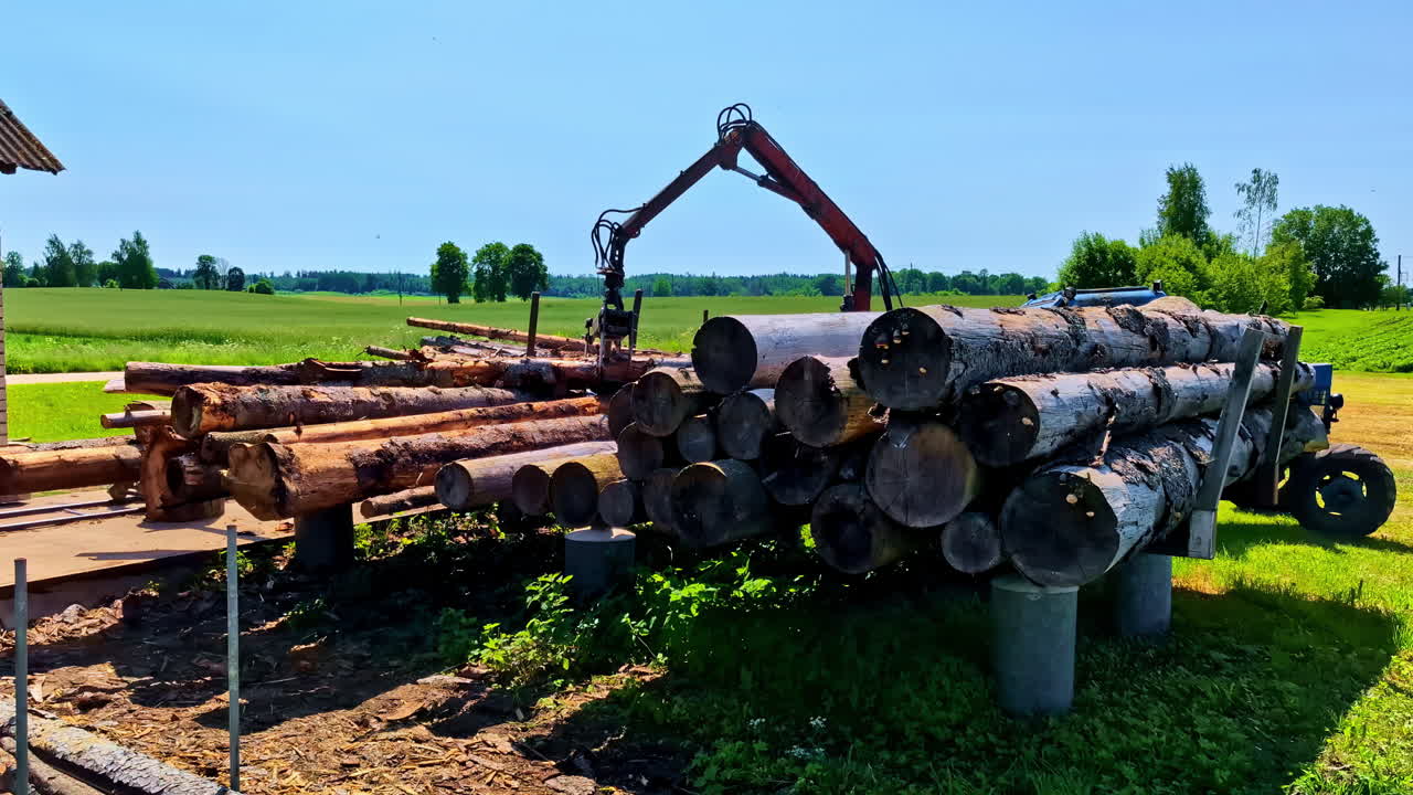 Logging Machine Lifting Large Pine Tree Trunks in Open Rural Field on Sunny Day