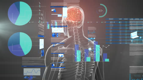 animation of data processing over spinning brain and man on gray background