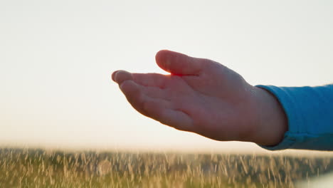 droplets fall on outstretched child hand kid fingers become conduits of nature rejuvenating embrace