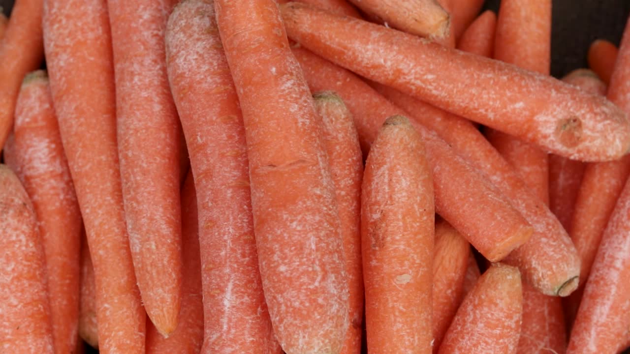 carote biologiche fresche della fattoria da vicino da un'angolazione diversa
