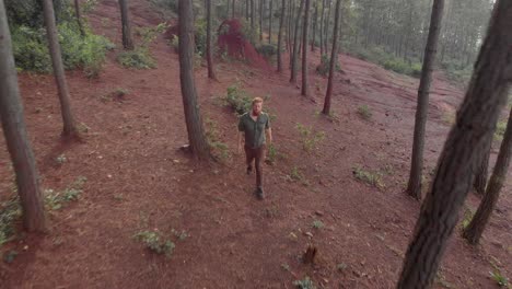 Luftaufnahme,-Die-Einen-Stämmigen,-Bärtigen-Ingwermann-Von-Vorne-Zeigt,-Der-Durch-Einen-Kiefernwald-Auf-Einem-Berg-Wandert