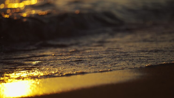 Golden Sunset Waves on the Beach