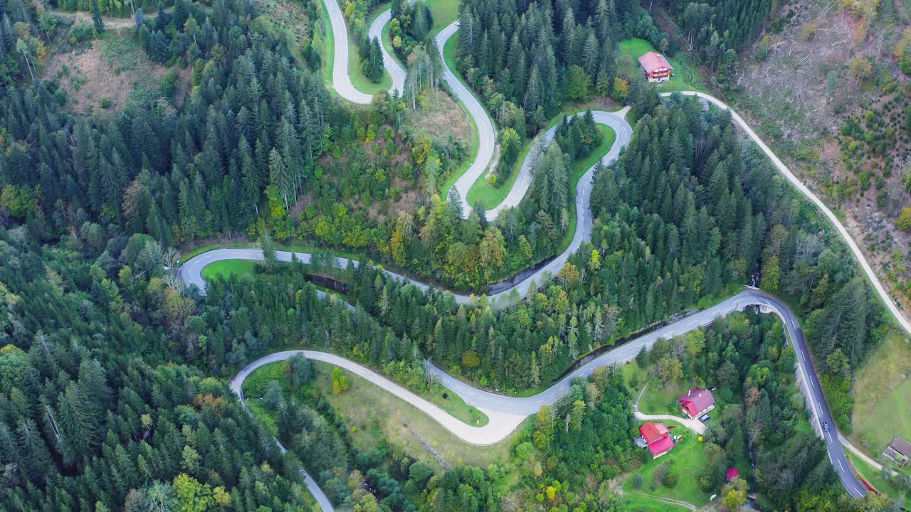 camino sinuoso a lo largo de un denso bosque verde, eisenkappel vellach, austria