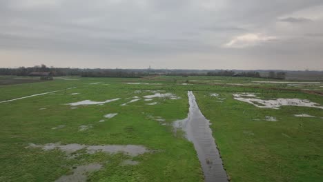 Large-flock-of-birds-flying-over-a-swampy-green-field-on-a-cloudy-day