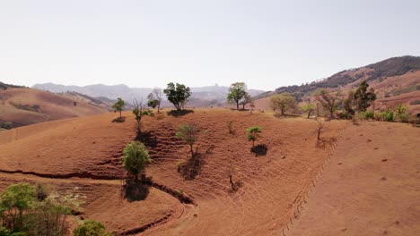 在 sao bento do sapucaí 的山頂上,一群牛群