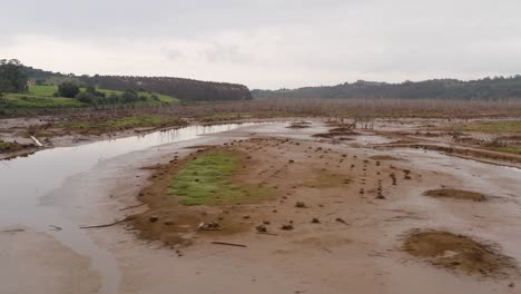 Scenery-of-Spanish-natural-reserve-Marisma-de-Rubin,-sideways-low-angle-aerial