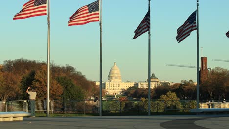 american flags waving on poles in national mall park with united states capitol congress building in background, washington dc usa