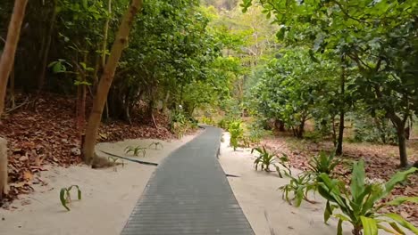 Camino-Dentro-De-La-Isla-Phiphi-Hasta-Maya-Bay