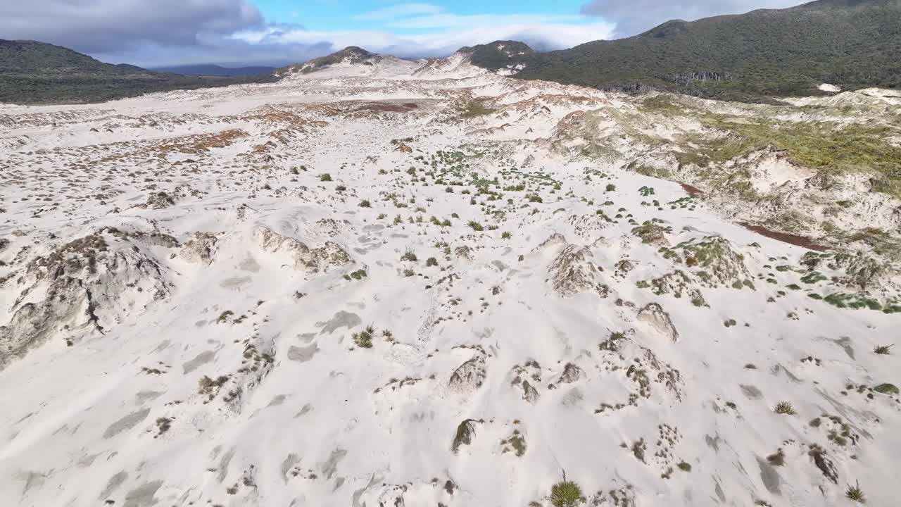 drone flyover duna de arena y bosque nativo, vida silvestre de la isla de stewart, nueva zelanda