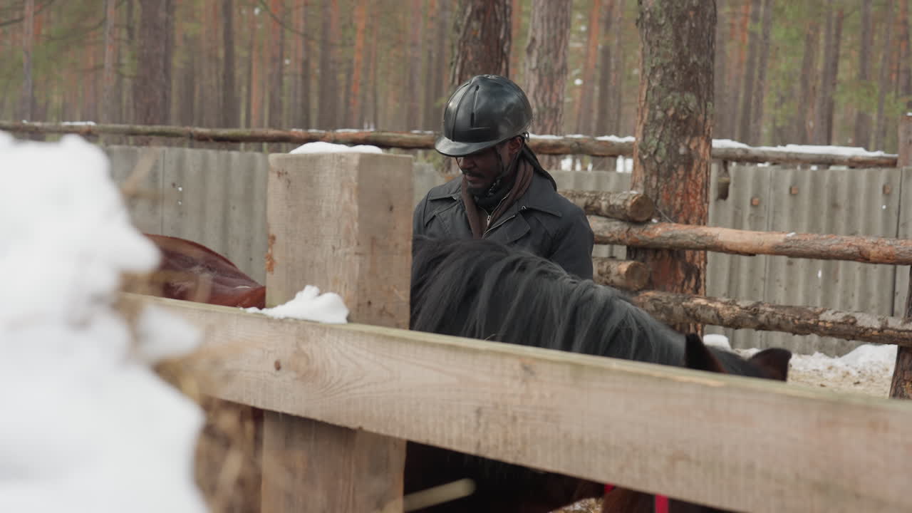 jinete sereno examinando cuidadosamente a un caballo, persona con casco inspeccionando suavemente al caballo junto a una valla nevada, persona con casco examinando minuciosamente al caballo cerca de un recinto de madera cubierto de escarcha invernal
