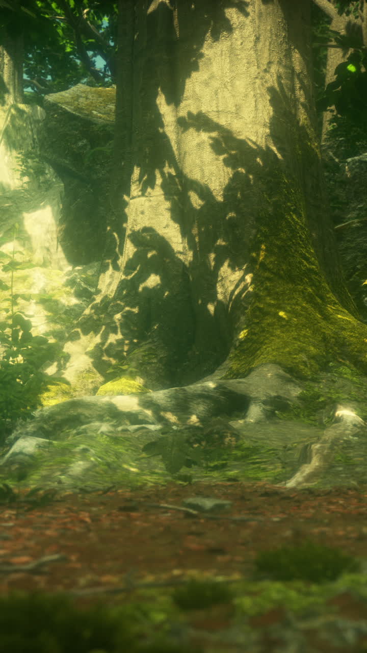 primer plano de un tronco de árbol en un bosque exuberante