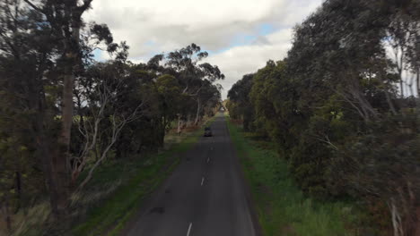 Aerial-following-vehicle-on-long-wooded-road