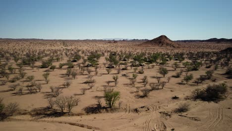 sidewards aerial of truck driving through sparse vegetation in desert