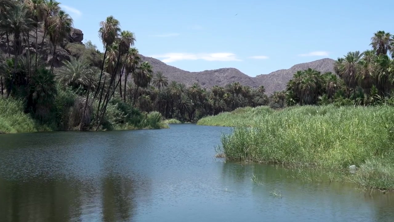 Delta de río, estuario y laguna en la costa oeste de Baja California, México, plano general