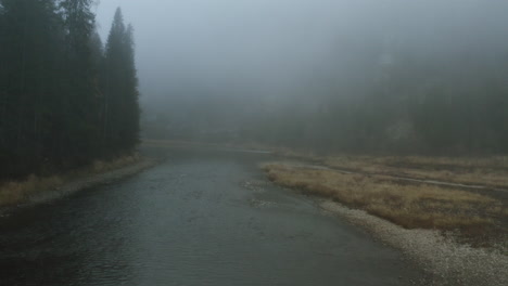 misty river through forest