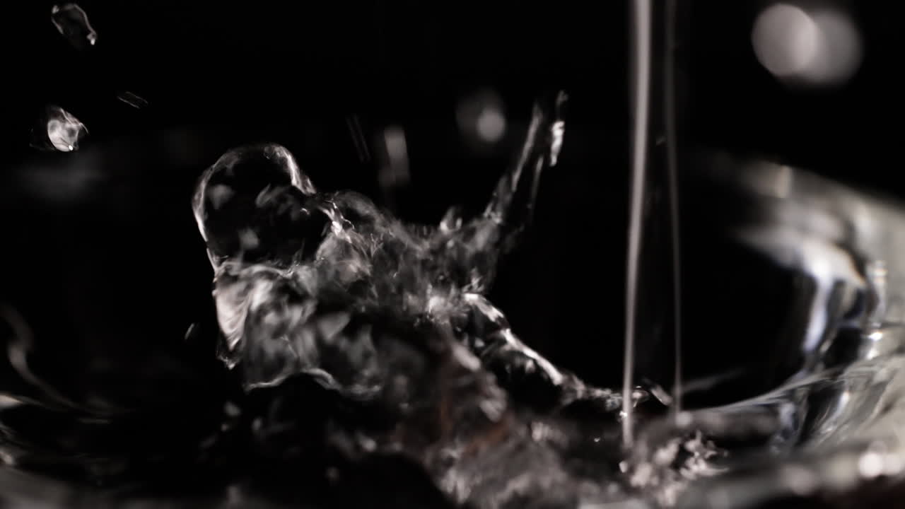 어 속의 물방울