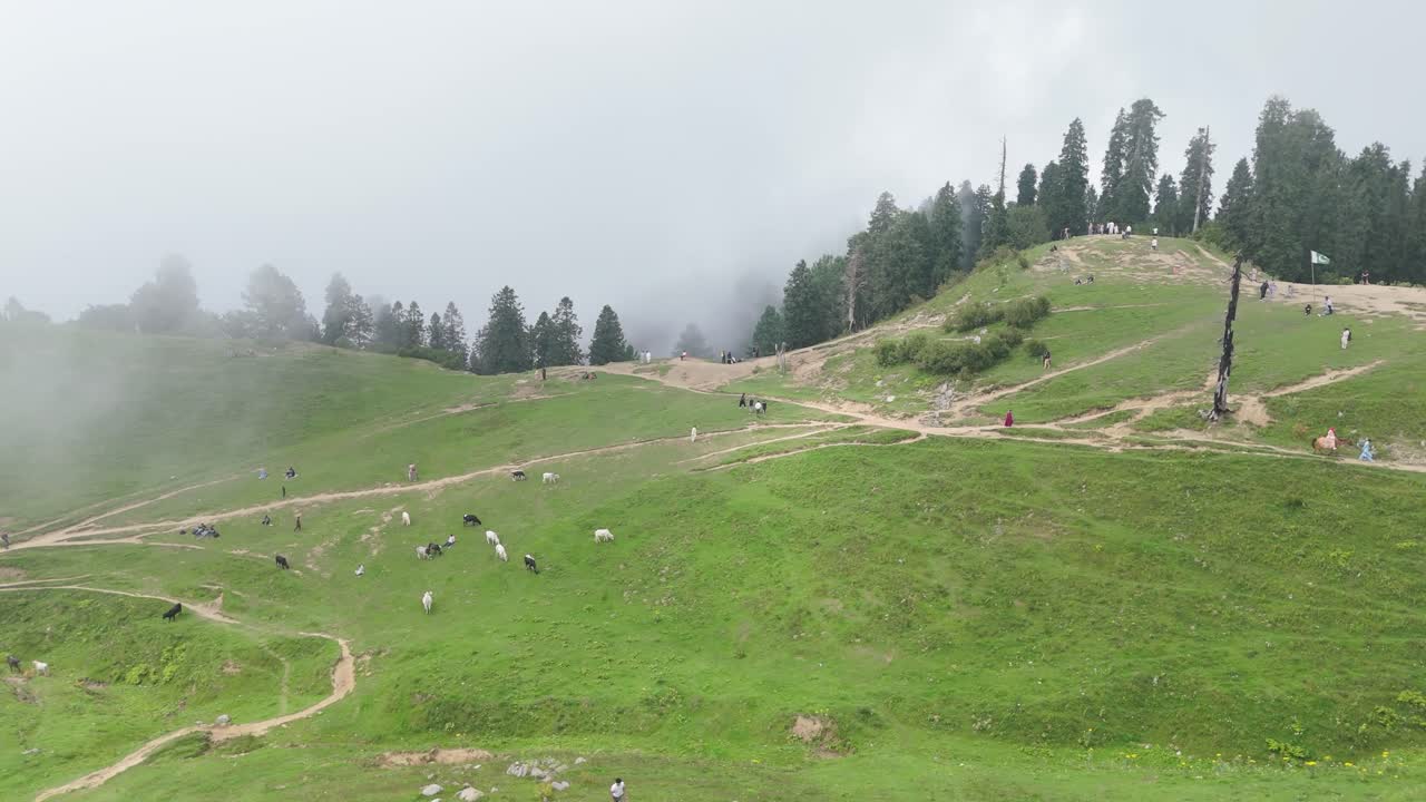 Drone Footage of Mushkpuri Top Covered in Mist | Dreamy Mountain Escape