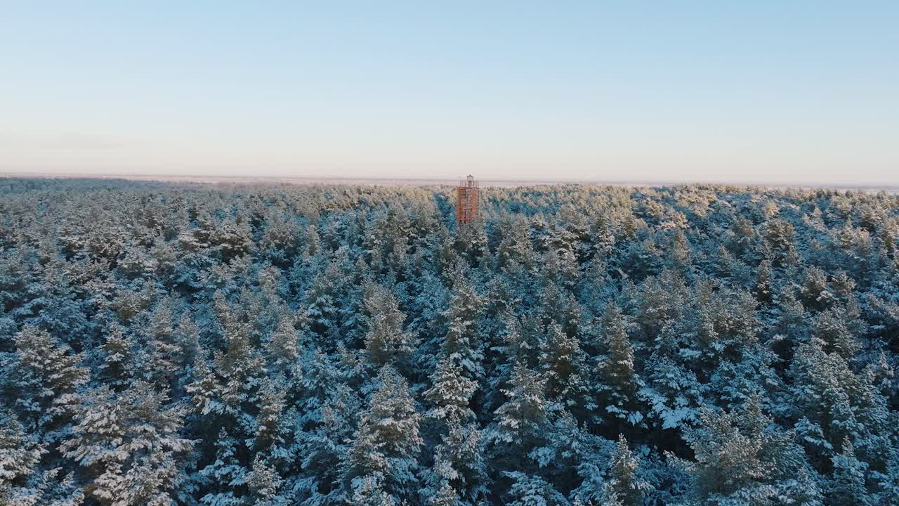 Аэросъемка деревьев, покрытых снегом, солнечный зимний день перед закатом, золотой час, скандинавский сосновый лес, красный маяк, побережье Балтийского моря, широкий кадр с дрона, движущийся вперед