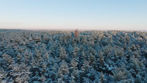 Imágenes-Aéreas-De-árboles-Cubiertos-De-Nieve,-Día-Soleado-De-Invierno-Antes-De-La-Puesta-Del-Sol,-Hora-Dorada,-Bosque-De-Pinos-Del-Bosque-Nórdico,-Faro-Rojo,-Costa-Del-Mar-Báltico,-Amplia-Toma-De-Drones-Avanzando