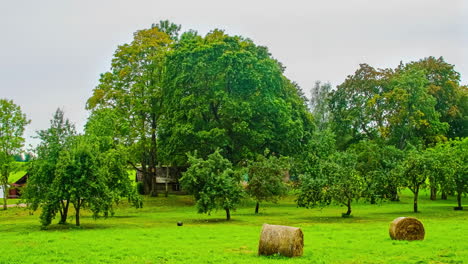 Static-shot-of-green-grasslandsover-green-grass-field-with-hay-bales-in-timelapse-throughout-the-day