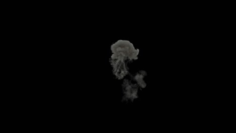 an explosion effect creates a powerful visual and auditory experience, often featuring a bright flash, shockwave, and debris dispersal, simulating a sudden release of energy.